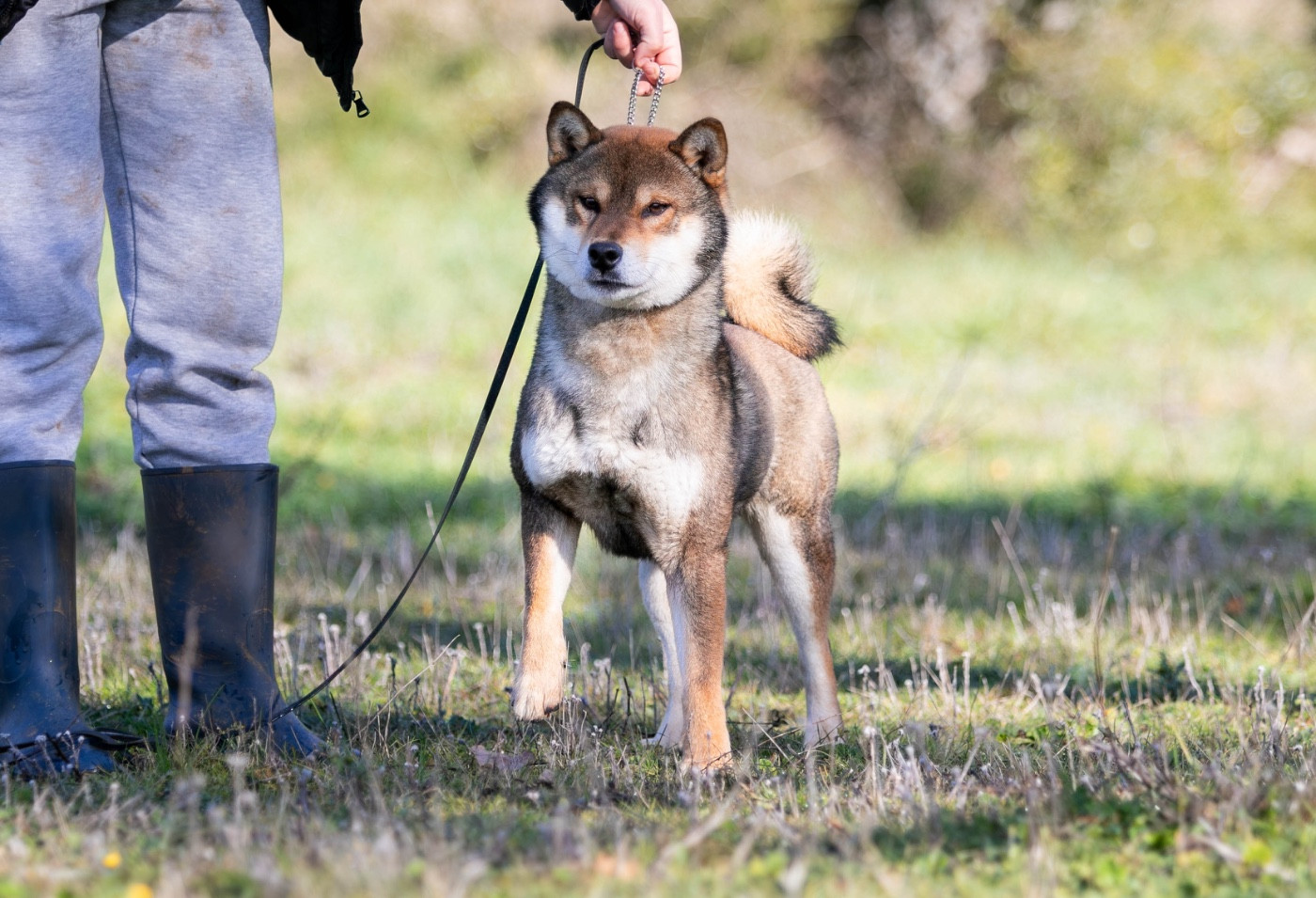 Konokou go bangaichisou