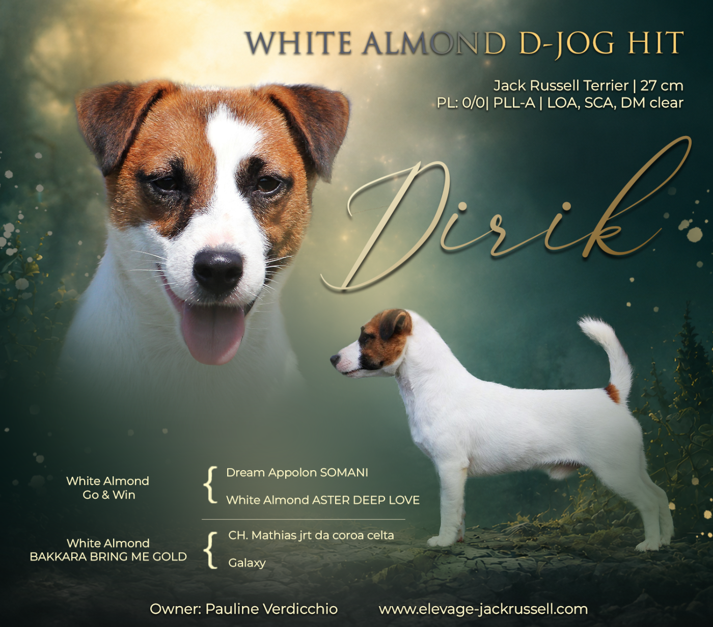 CH. white almond D-jOG HIT